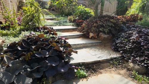 Arad Bed & Breakfast | צלילי המעיין- צימר בוטיק במדבר