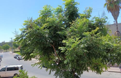 Ashkelon Apartment | רימון יחידות אירוח Vacation units RIMON