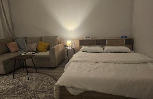 Ha'il Apartment | استوديو فندقي بإدارة خاصة