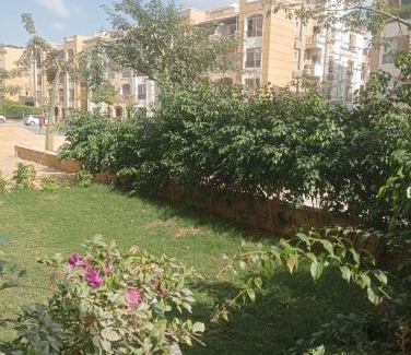 The 5th Settlement Apartment | استون رايذدنس