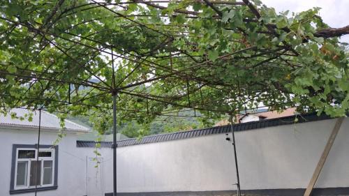 Azerbaijan Villa | البيت الخليجي