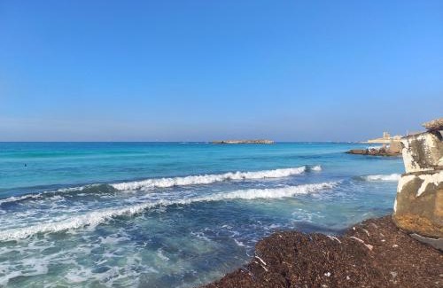 Ad-Dukhaylah Apartment | دور كامل في فيلا علي البحر مباشره شهر العسل العجمي الاسكندريه