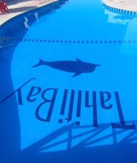 Marsa Matruh Apartment | شاليه تاهيتي باي الساحل الشمالي