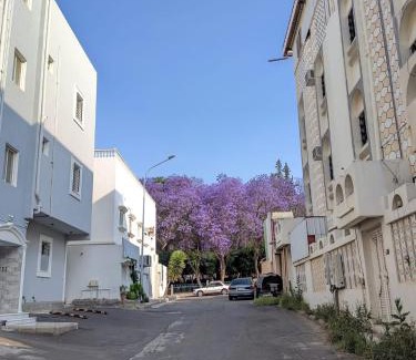 Abha Apartment | شقق شهم المفروشه