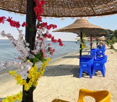 Ismailia Apartment | قرية النورس بالاسماعيلية مكتب السعد