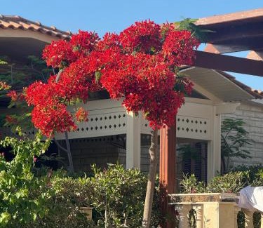 Borg el Arab Villa | قريه المروه الساحل الشمالي فيلا 5 غرف وحمام سباحه خاص