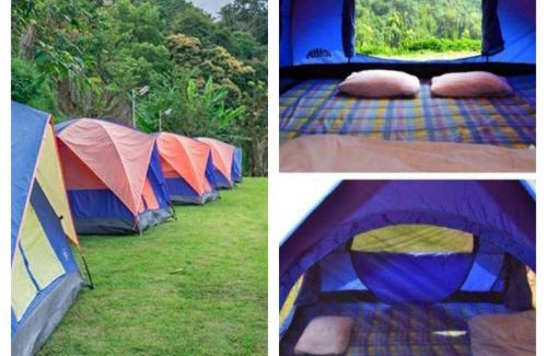 Mae Rim Other | ม่อนหนาว ลานกางเต็นท์