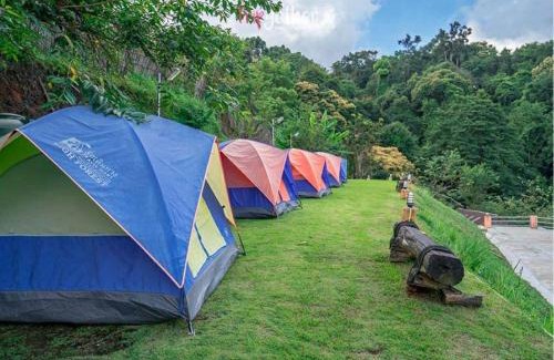 Mae Rim Other | ม่อนหนาว ลานกางเต็นท์