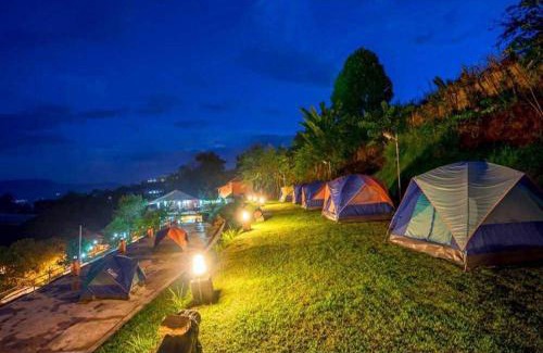 Mae Rim Other | ม่อนหนาว ลานกางเต็นท์