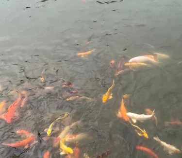 Thong Pha Phum House | อีต่องโฮมสเตย์