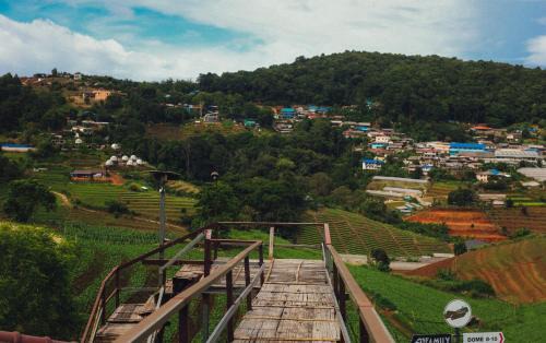 Mae Rim Other | ไร่อมรพญา ม่อนแจ่ม เชียงใหม่