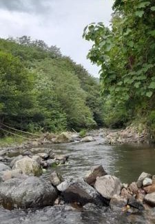 Vani Other | იმერული სამყარო! spirit of Imereti