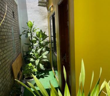 Cat Hai Apartment | Ốc Homestay Cát Bà