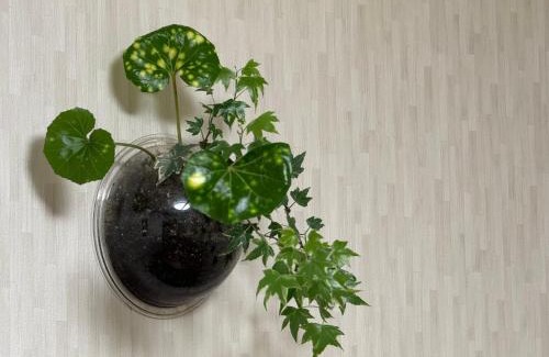 Oishi House | コテージ蘭峰