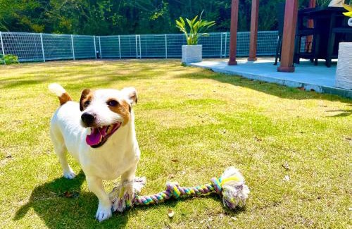 Kisami House | 一棟貸別荘! Ohama Beach House & BBQ! 大浜海水浴場まで徒歩10分! Pets welcome!