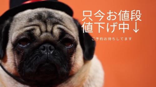 Odori Apartment | 交通アクセス便利! 9min from susukino station すすきの駅から歩いて9分 島屋ビル 505号室