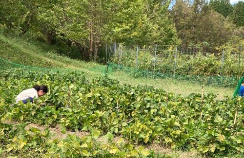 Bungoono House | 体験型農家民泊「お陽さまと風」