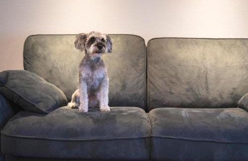 Izumo House | 出雲日和 by HIYORISTAY