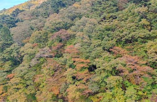Shiobara Hotel | 坂聖 那須塩原