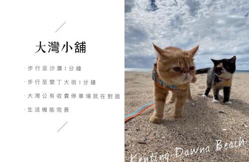 Big Beach Bed & Breakfast | 墾丁大灣小舖Enjoy Kenting262