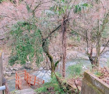 Hanno House | 川辺-KAWABE-BBQ-川遊び-fishing