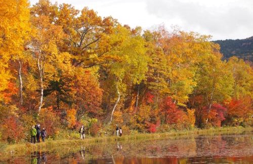 Shiga Highlands Hotel | 志賀高原 白い温泉 渓谷の湯