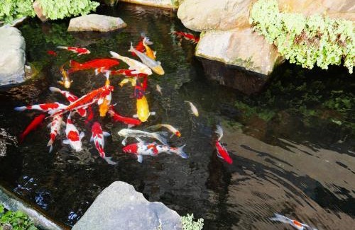 Fengyuan District Hotel | 楓采汽車旅館