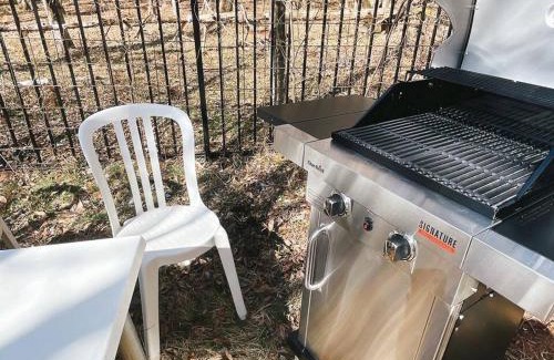 Yamanakako Villa | 湖畔まで徒歩圏内、BBQ可能！隠れ家感溢れる【Nハウス】