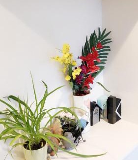 Ichikawa Apartment | 竹内公寓