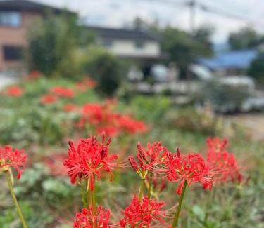 Kameoka House | 縁側ハウス