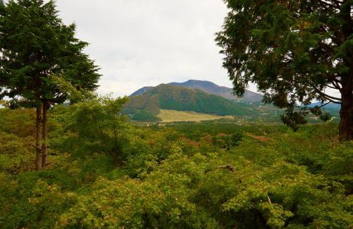 Hakone House | 美術の宿 箱根もみじの森