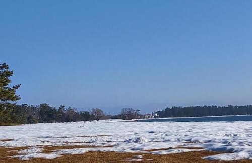 Shiga Prefecture House | 臨湖荘