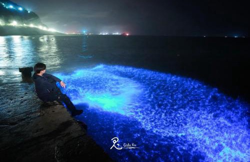 Beigan House | 芹壁五家村民宿