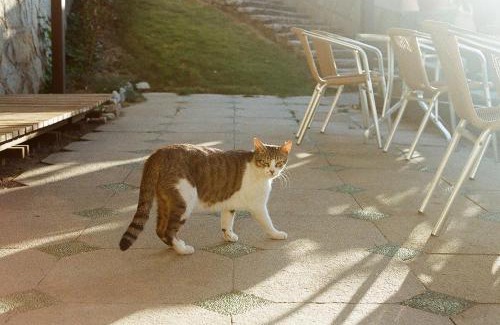 Beigan House | 芹壁靜園海岸民宿