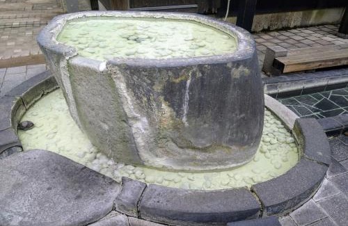 Zaoonsen Hotel | 蔵王温泉 林檎屋