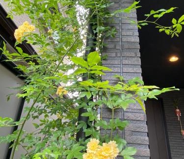 Nakagyo Ward House | 遥華-Haruka House