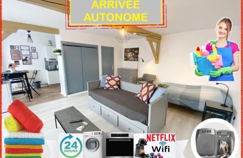 Cret de Roc Apartment | 015 CHIC & COSY STUDIO 41m2 HYPERCENTRE WIFI SMART TV NETFLIX