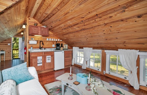 Stonewall Apartment | 1/1 Loft | Queen Bed | Fire-pit | Pet Friendly w/fee
