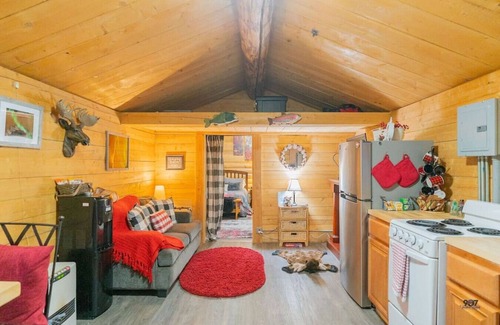 Fairbanks Cabin | 1 Bd. Deluxe Log Cabin | View Northern Lights!