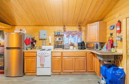 Fairbanks Cabin | 1 Bd. Deluxe Log Cabin | View Northern Lights!