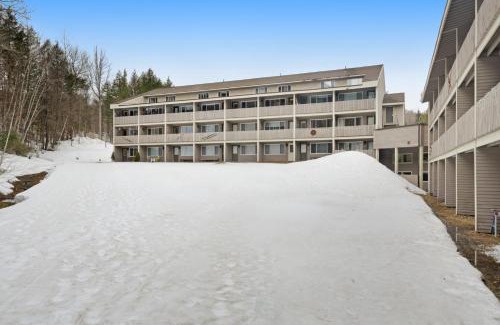 Sunday River Area Apartment | 1 Bed 1 Bath Vacation home in Newry