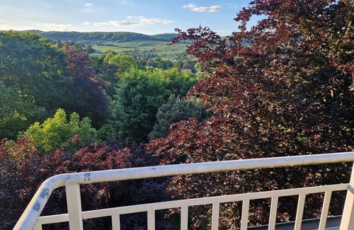 Grinzing Apartment | 1-bedroom apartment Vienna, Austria with WiFi and View and walking to vineyards