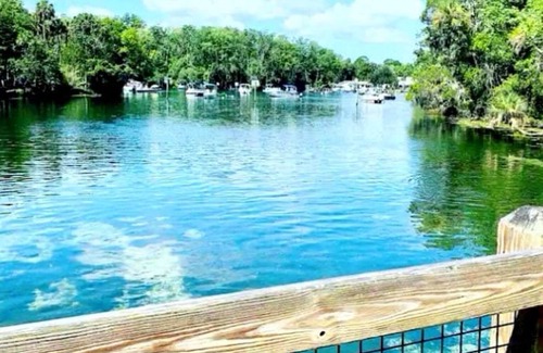 Citrus Springs RV Rental | 1-bedroom campground 19 minutes from Rainbow Springs State Park