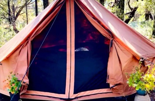 Citrus Springs RV Rental | 1-bedroom campground 19 minutes from Rainbow Springs State Park