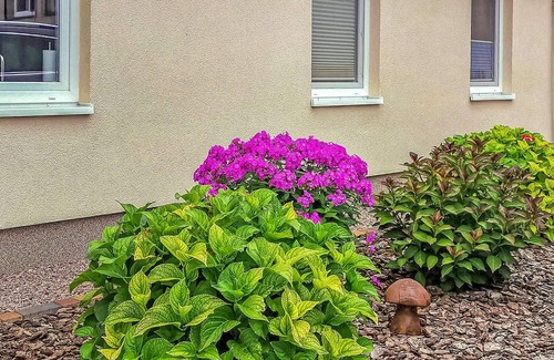 Karow Apartment | 1 bedroom accommodation in Plau am See OT Karow