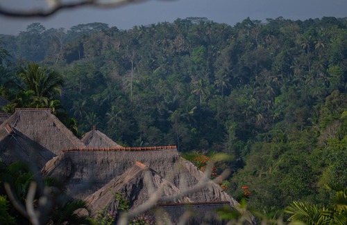 Bongkasa Pertiwi Resort | 1 Bedroom Luxury Boutique Resort, Jungle View in Ubud