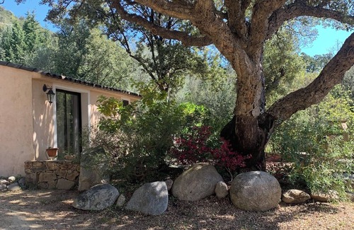 Conca Villa | 1-bedroom villa 15 minutes from the sandy beaches of Pinarellu and Favone