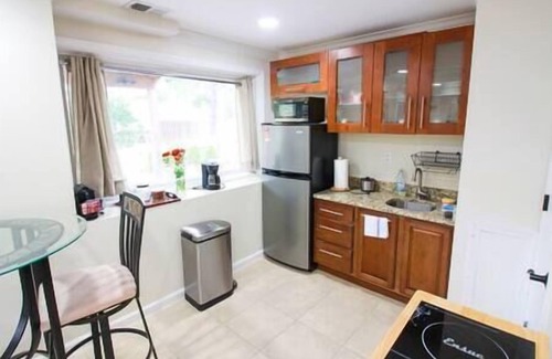 Herndon Apartment | 1 BR Spacious Basement Apartment DC20m Dulles 5m