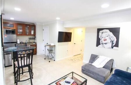 Herndon Apartment | 1 BR Spacious Basement Apartment DC20m Dulles 5m