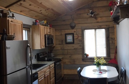 Mountain Home Cabin | #1 Fall Creek Cabins 1 mile from Lake Norfork and Mtn. Home Ar.